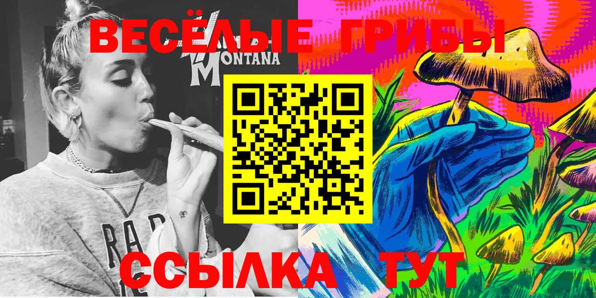 что такое   Псилоцибиновые грибы мицелий  Вход с VPN  Галлюциногенные грибы мухоморы  Ставрополь 