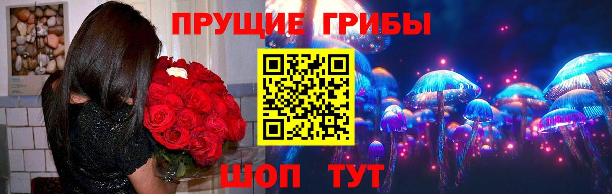 Псилоцибиновые грибы Psilocybe Ставрополь